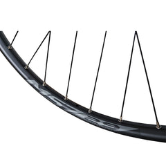 29” (ETRTO 622×25) MTB Rear Wheel – 6-Bolt Disc – Boost 141mm QR – 9/10/11/12 Speed – Performance Hubs – HG / Micro Spline / XD – Tubeless Compatible