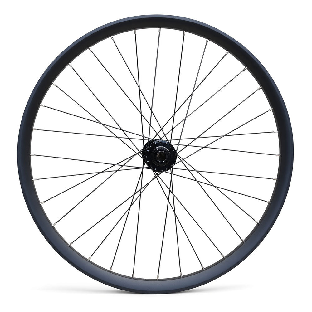 29” Downhill Front Wheel – 20×110 Boost Thru Axle – 6-Bolt Disc – 30mm Inner Rim – Tubeless Compatible – Heavy-Duty Rim