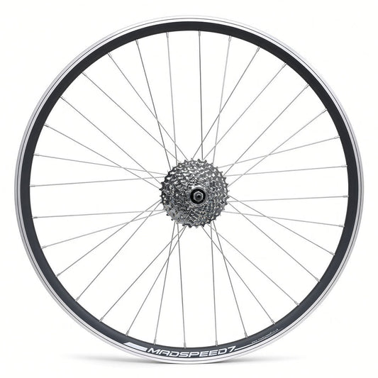 29” MTB Rear Wheel – QR – Rim & Disc Brake – 19mm Inner Rim – 7–9 Speed Freewheel